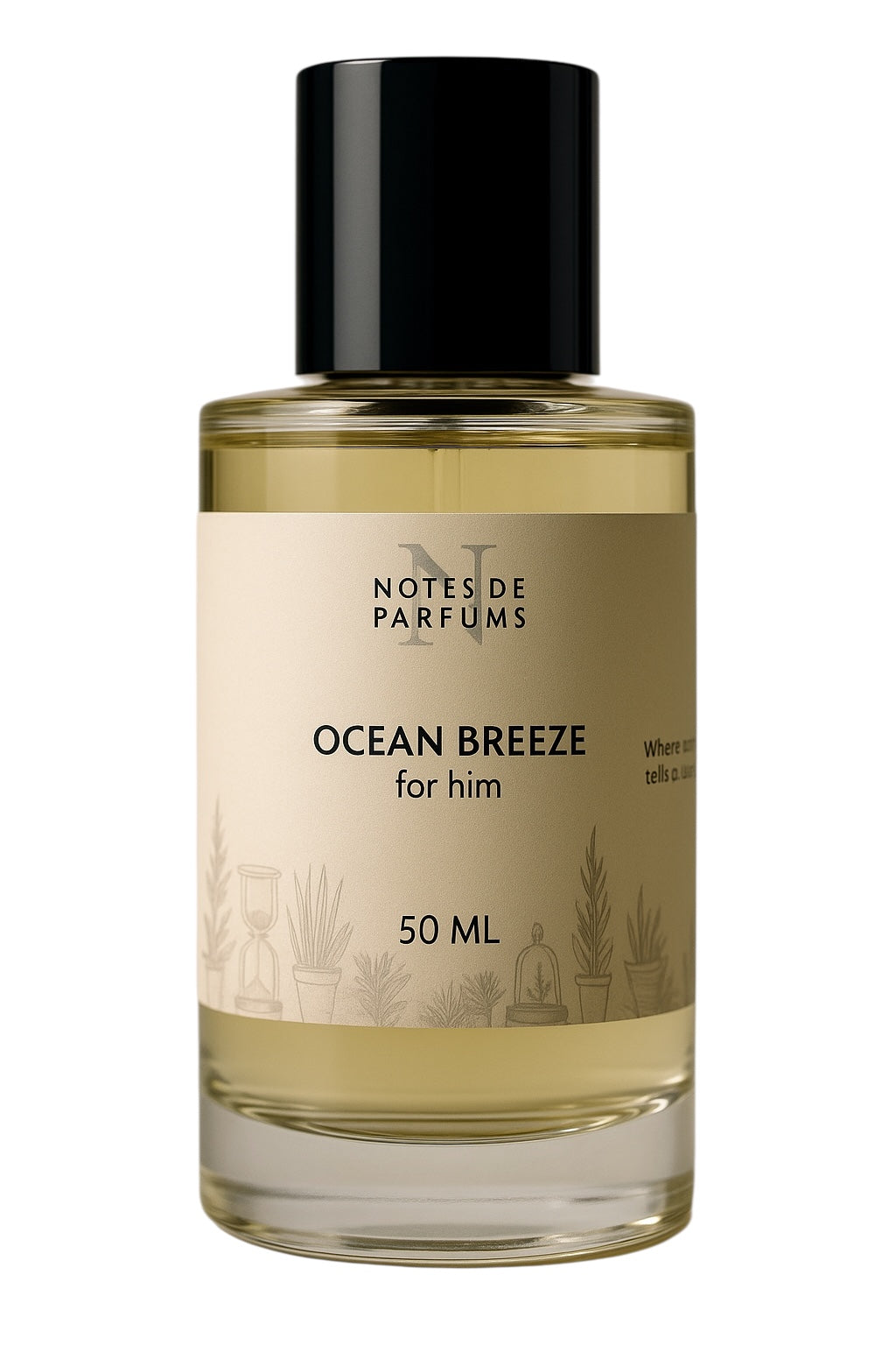 Ocean Breeze – For Him | Crisp Aquatic Citrus Perfume